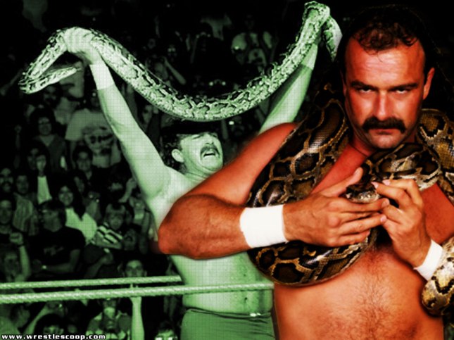 jake_roberts_wallpaper