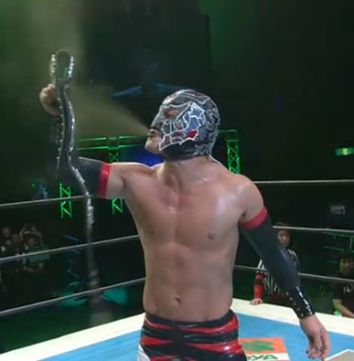 bushi